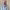 https://res.cloudinary.com/billionhands/image/upload/v1777232765/items/rqvbc9igv2nvtw6oucke.jpg-0cover