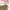 https://res.cloudinary.com/billionhands/image/upload/v1777235048/items/yfvuaeuh8doycuvpwy6w.webp-0cover