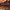 https://res.cloudinary.com/billionhands/image/upload/v1777235059/items/wahcsnvwhnd7s1hu9h8a.gif-2cover
