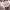 https://res.cloudinary.com/billionhands/image/upload/v1777244389/items/uvhhuv7tnvh2urk93wka.webp-1cover