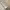https://res.cloudinary.com/billionhands/image/upload/v1777244394/items/guo009gr1wn1fmgphbjv.jpg-0cover