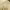 https://res.cloudinary.com/billionhands/image/upload/v1777244396/items/gh2o5iidoutqeplulsux.jpg-3cover
