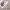 https://res.cloudinary.com/billionhands/image/upload/v1777244396/items/xaga2mthh8hk13wgdcob.webp-2cover