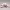 https://res.cloudinary.com/billionhands/image/upload/v1777244496/items/fgvjqc1jffudcrefyfl5.jpg-1cover