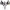 https://res.cloudinary.com/billionhands/image/upload/v1777244666/items/nhech0vj9colbudwgwlj.webp-0cover
