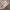 https://res.cloudinary.com/billionhands/image/upload/v1777245395/items/bwwe07euvde82zfzgjdp.webp-0cover