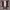 https://res.cloudinary.com/billionhands/image/upload/v1777245421/items/ntj2ssxkfncrjl7pq5ey.jpg-1cover