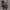 https://res.cloudinary.com/billionhands/image/upload/v1777245422/items/jskpksuffoyzyi8mvqup.jpg-2cover