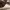 https://res.cloudinary.com/billionhands/image/upload/v1777245424/items/iscvrb4vbh73eosaaopk.webp-1cover
