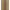 Tigre Gold Area Rug by Scalamandré (Ruggable) cover