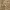 https://res.cloudinary.com/billionhands/image/upload/v1777245428/items/cjzgi8qh5kcv8fyp0ryb.webp-1cover