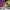 https://res.cloudinary.com/billionhands/image/upload/v1777246108/items/le11dslzp2ymmtdegls8.webp-3cover