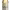 https://res.cloudinary.com/billionhands/image/upload/v1777246254/items/fithdpahwm2uvbmeui4c.webp-0cover