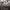 https://res.cloudinary.com/billionhands/image/upload/v1777247234/items/ltup4o8wxyq2foxcksmd.jpg-1cover