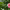 iBuyFlowers (Nationwide delivery) cover