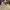 https://res.cloudinary.com/billionhands/image/upload/v1777252403/items/zy00odfvzv6uuoghlse1.jpg-2cover