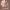 https://res.cloudinary.com/billionhands/image/upload/v1777252923/items/obtbe9fzumv4ehgxt5wc.jpg-2cover