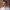 https://res.cloudinary.com/billionhands/image/upload/v1777252924/items/usxyvicz2ehallyxknun.webp-2cover
