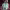 https://res.cloudinary.com/billionhands/image/upload/v1777252925/items/fxggup51x2vd09awcyaj.webp-3cover