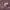 https://res.cloudinary.com/billionhands/image/upload/v1777253357/items/eiilw1wywijvg5eyli0c.jpg-3cover
