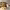 https://res.cloudinary.com/billionhands/image/upload/v1777254162/items/hqjlyuhi3dvgzu4purin.webp-3cover