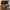 https://res.cloudinary.com/billionhands/image/upload/v1777257152/items/hww2qyo9iwiboeghzqki.jpg-1cover