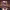 https://res.cloudinary.com/billionhands/image/upload/v1777257185/items/n5tm18aikmogyksptsdf.webp-3cover
