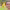 https://res.cloudinary.com/billionhands/image/upload/v1777258602/items/wclp7zakfexj0rlrou1f.webp-1cover