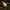 Solar Powered Gnome Statue (2026) cover