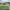Agriframes Obelisks, Arches, and Screens (2026) cover