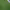 https://res.cloudinary.com/billionhands/image/upload/v1777262754/items/bo2lqgdldbaazyacoina.jpg-1cover