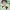 https://res.cloudinary.com/billionhands/image/upload/v1777262758/items/l3wbk81ngrumlyxogghu.webp-2cover