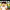 https://res.cloudinary.com/billionhands/image/upload/v1777262933/items/ikxnn5edpxbysb1lexsg.jpg-0cover