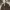 https://res.cloudinary.com/billionhands/image/upload/v1777263280/items/xpemqk0afhvbgkjuhrcx.jpg-0cover