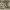 https://res.cloudinary.com/billionhands/image/upload/v1777263284/items/bg4xy6cmqtsb0iaebjot.jpg-3cover