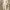 https://res.cloudinary.com/billionhands/image/upload/v1777263287/items/bnq55grab9lnkhb4hacq.png-0cover