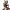 https://res.cloudinary.com/billionhands/image/upload/v1777263549/items/tu0pllqmikqodidmtisu.webp-0cover