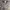 https://res.cloudinary.com/billionhands/image/upload/v1777266800/items/zswkhpkkqd6j4vh5qpfa.webp-0cover