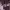 https://res.cloudinary.com/billionhands/image/upload/v1777266813/items/asliuv5lye9xlfbzdtw8.png-3cover