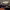 https://res.cloudinary.com/billionhands/image/upload/v1777267428/items/u1l74r9xxnwlavqx2tcj.jpg-1cover
