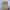 https://res.cloudinary.com/billionhands/image/upload/v1777269213/items/j7zvj8perpns8vyfu3sf.jpg-2cover