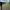 https://res.cloudinary.com/billionhands/image/upload/v1777269441/items/nqmusvp08n53ofcijxmy.jpg-2cover