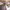 https://res.cloudinary.com/billionhands/image/upload/v1777269444/items/hg2pugctp5bdxxid15m4.jpg-1cover