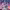 Mobile Suit Gundam SEED Freedom (2024) cover
