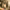 https://res.cloudinary.com/billionhands/image/upload/v1777272127/items/avgojb8evfekckzpkd4y.jpg-0cover