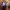 https://res.cloudinary.com/billionhands/image/upload/v1777273752/items/j5v8smx6tjj3l8vxvzpu.jpg-2cover