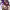https://res.cloudinary.com/billionhands/image/upload/v1777277502/items/cuk2jfsfqtvsilk4m9j2.png-0cover