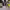 https://res.cloudinary.com/billionhands/image/upload/v1777277786/items/bdpjk24d3if4jxd3mmia.jpg-2cover