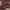 https://res.cloudinary.com/billionhands/image/upload/v1777278194/items/ivqca7ipifckusfksoey.jpg-0cover