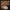 https://res.cloudinary.com/billionhands/image/upload/v1777278751/items/wonkk63irpi0oyqaater.jpg-0cover